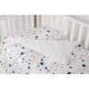posciel-3-el-twins-modern-3040-pms-20-gwiazdki